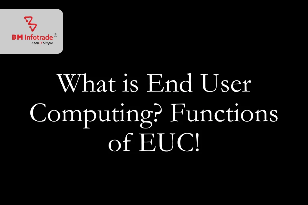 What is End User Computing? Functions of EUC!