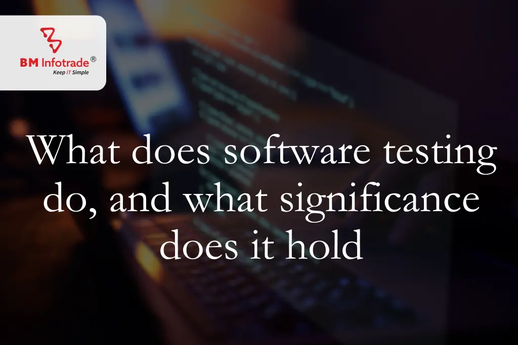 What does software testing do, and what significance does it hold