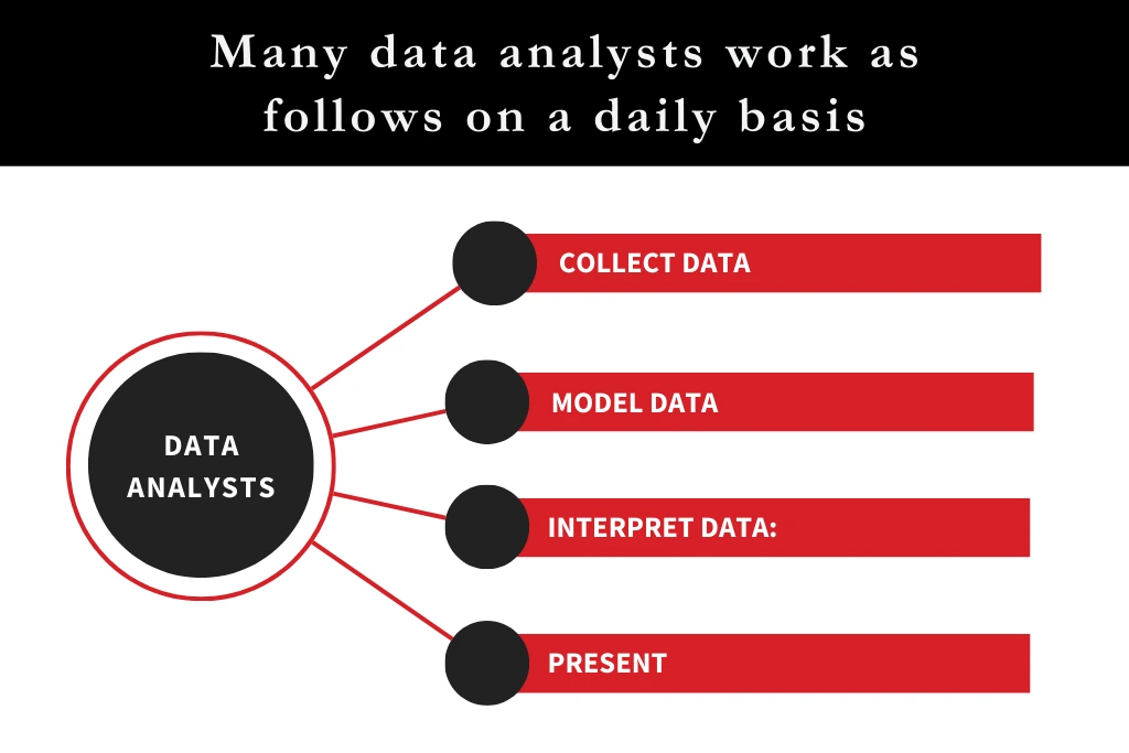 many data analyst work as follow on a daily basis