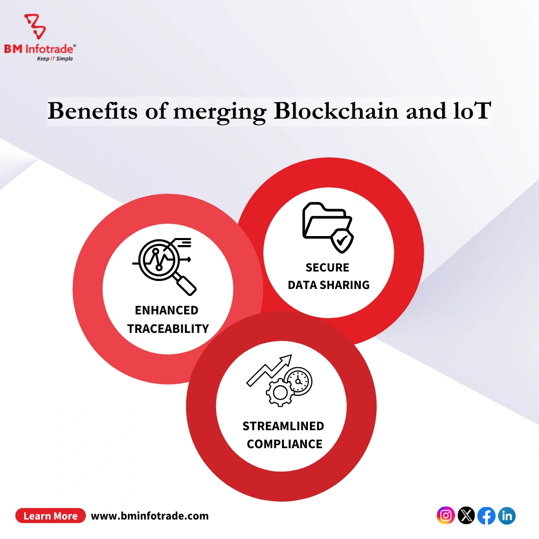 infographics about benefits of merging blockchain and loT