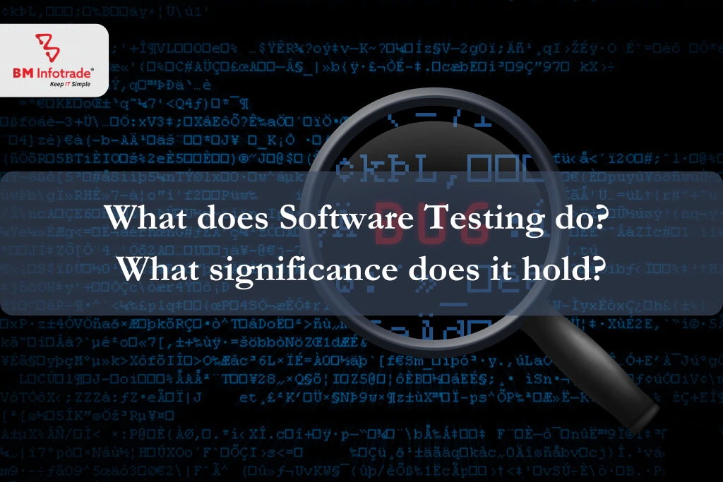 What does software testing do, and what significance does it hold