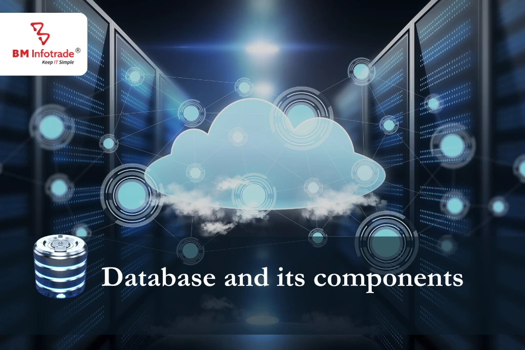 Database and its components- Info Explore