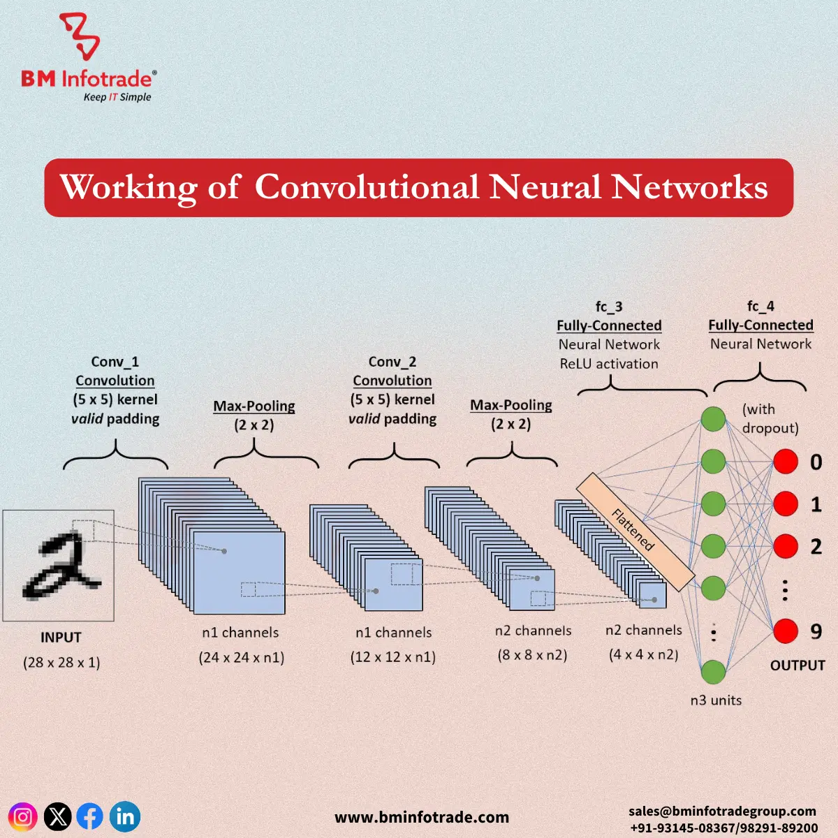 working of convolutional neural networks