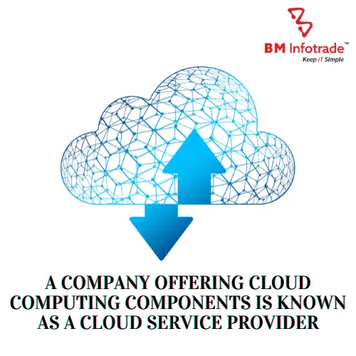 Cloud services provider 